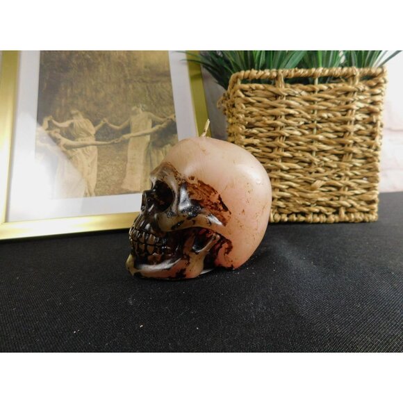 Unscented Skull Candle Home Decor 3" - Goth, Witchy, Creepy, Halloween - Picture 6 of 11